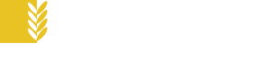 A&J Nari Logo